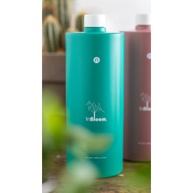 Detox Shampoo - Mélytisztító Sampon